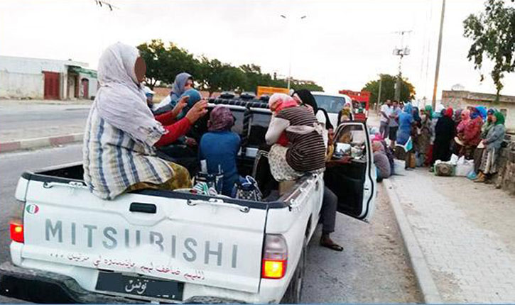 سن القوانين بمفرده لا يكفي..   عجز عن وقف حوادث العاملات الفلاحيات